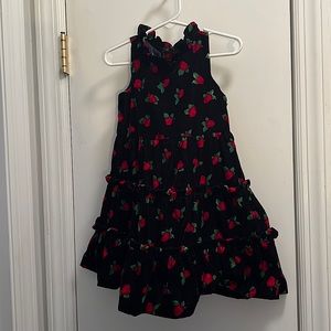 Janie and Jack navy blue with red flowers dress.  Velvet material.
